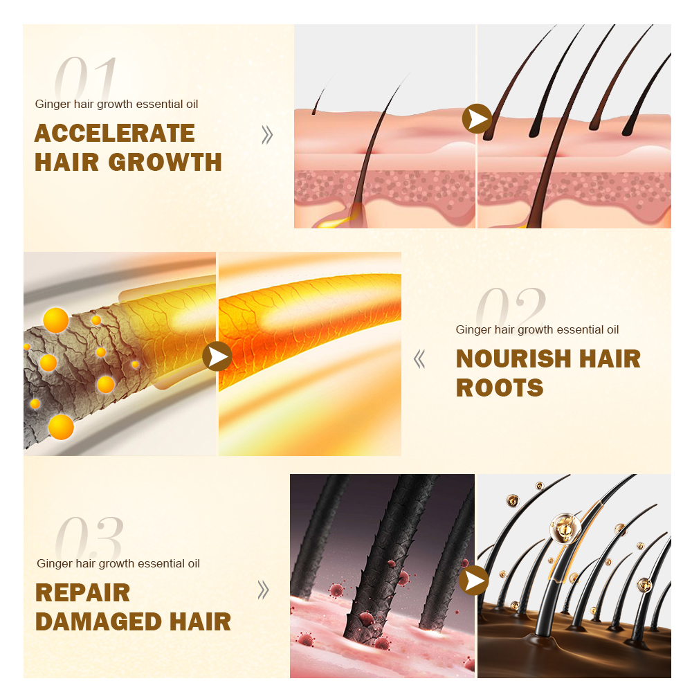 PURC Hair Growth Oil Ginger &  – Hair Care Ginseng Bewertung und Preis