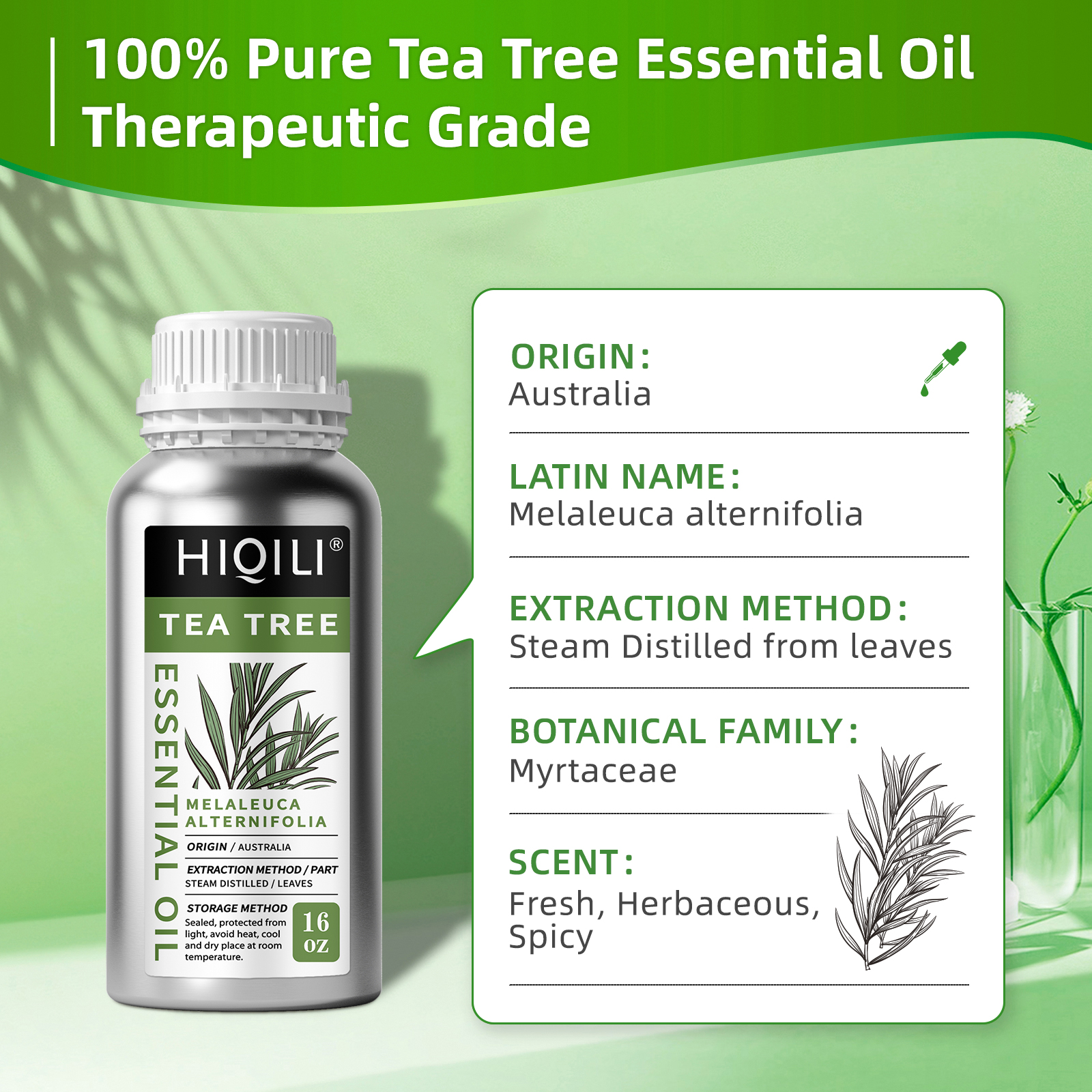 HIQILI 500ML Tea Tree Essentia – Hair Care Orange Bewertung und Preis