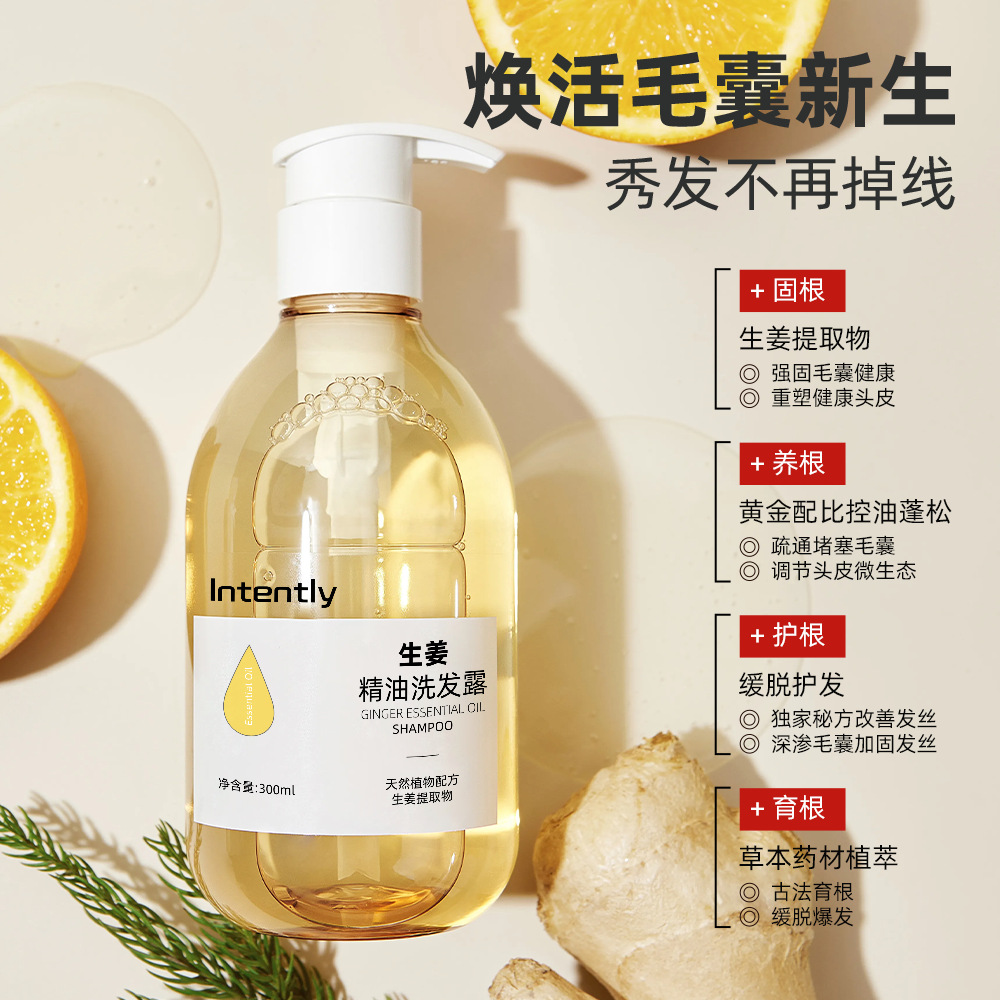 OEM Ginger Shampoo for Oily Ha – Hair Care Normal Bewertung und Preis