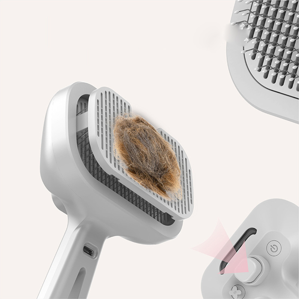 Type-c Rechargeable Pet Spray  – Hair Care Is Self Care Bewertung und Preis