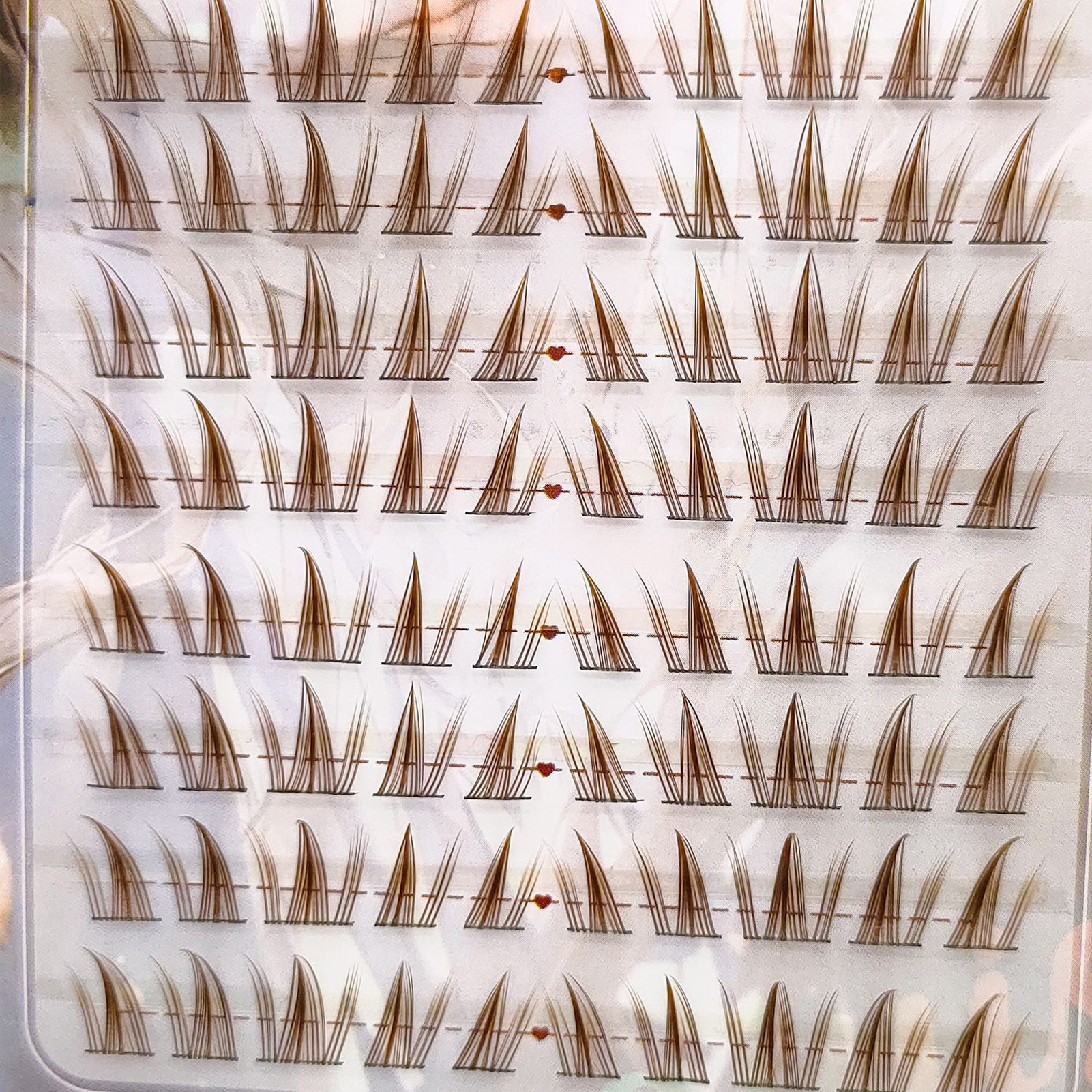 Brown Sunflower DIY Lash Clust – Hair Care Korean Products Bewertung und Preis